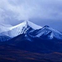 阿巴瓦库427头像