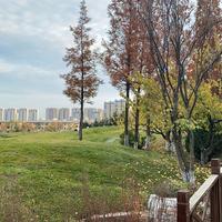 心有所待可期未来头像