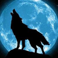 极客蛟河4g1头像