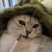 彬狗的个人资料头像