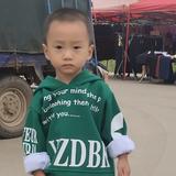 亲切西柚Z0头像