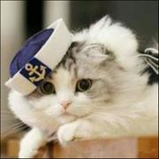 浅梦摇曳月黄昏的个人资料头像