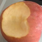 SeeLey的个人资料头像