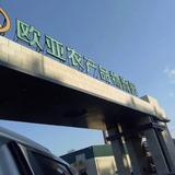 骅泰商贸东北特色产品头像