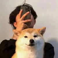 比奇堡派总265头像