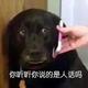 国家特级级抬杠运动员头像