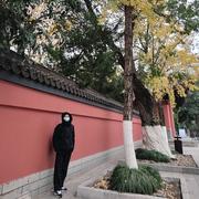 天天向上vir的个人资料头像
