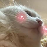 Tengdd头像