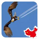点亮银河头像