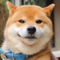 犀牛大王688头像