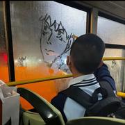 Y77的个人资料头像