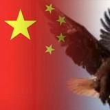 用户8192889010423头像