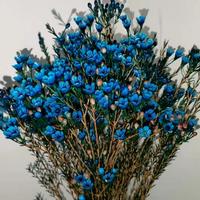 盈江彭于晏头像