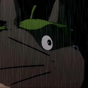 渠舍的个人资料头像