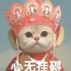 用户9208019165081头像