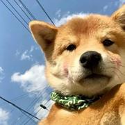 用户6873021706022的个人资料头像