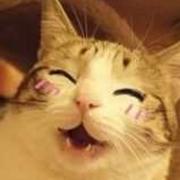 不吃海鲜的个人资料头像