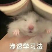 加油小王同学的个人资料头像