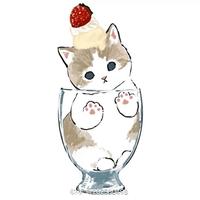 独家记忆80136头像