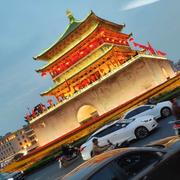 狮子与猫的个人资料头像