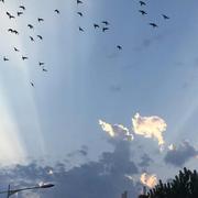 初期的个人资料头像