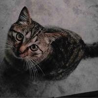 家里蹲小青年头像