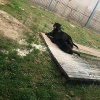 永远的城zone头像