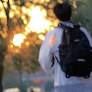 怎么了419的个人资料头像