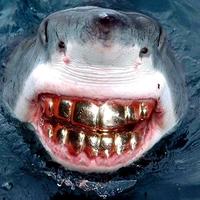 偷喝汽水QAQ头像