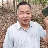 文清头像