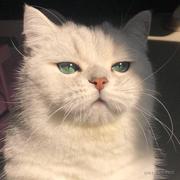 西西早早的个人资料头像