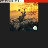 小小年糕头像