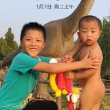 跑大车的武哥头像