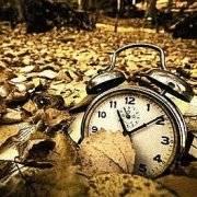 光影魔法的个人资料头像