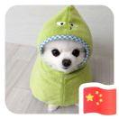 新君90227的个人资料头像