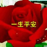 平安99291头像