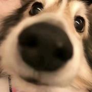 用户17262731400的个人资料头像