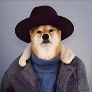 Alei的个人资料头像