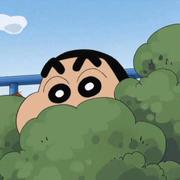 枫韵海的个人资料头像