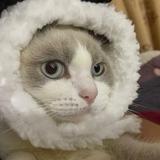 我不吃榴莲哦头像