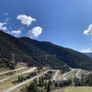 小卢子的个人资料头像