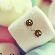 离岁枯荣的个人资料头像