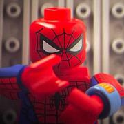 郭仲轩的个人资料头像