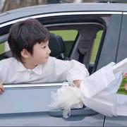 Mutlis的个人资料头像