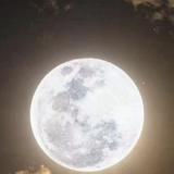 年轻的战场ing头像