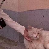 暖心后.头像