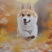 紫〆藤头像