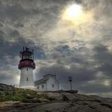 风扬花易落头像