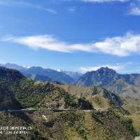 vivivivivivivivivi头像