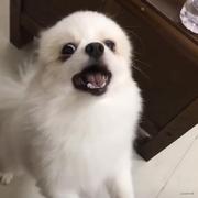 是杏儿的个人资料头像